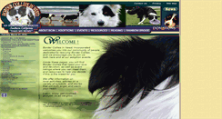 Desktop Screenshot of bordercolliesinneed.org